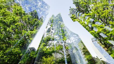 Investigación revela que las soluciones digitales y eléctricas pueden reducir hasta un 70% las emisiones de carbono de los edificios de oficinas