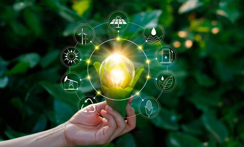 ¿Cuál es el rol del CEO hacia una gestión sostenible?