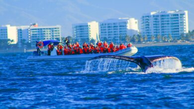 Planes en Puerto Vallarta para conectar con la naturaleza