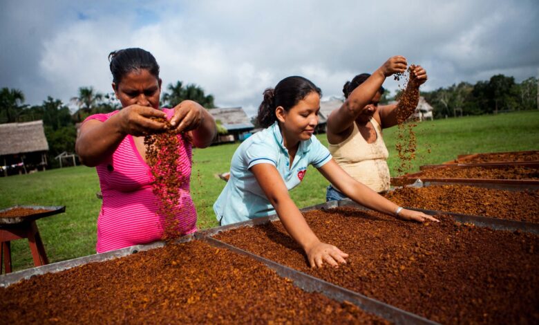 Produce destina S/15 millones para impulsar la innovación y el desarrollo productivo de Amazonas, Huancavelica, Huánuco, Loreto y Madre de Dios