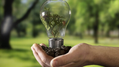 Día Mundial del ahorro de la energía: Conoce 4 consejos para ahorrar energía desde casa