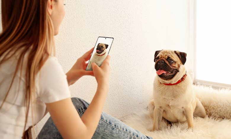 Mascotas: ¿Cómo sacarle mejores fotos a tu engreído con un smartphone?