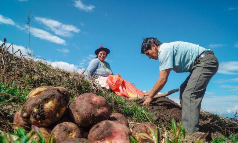 El Banco Mundial apoya proyectos de riego en el Perú