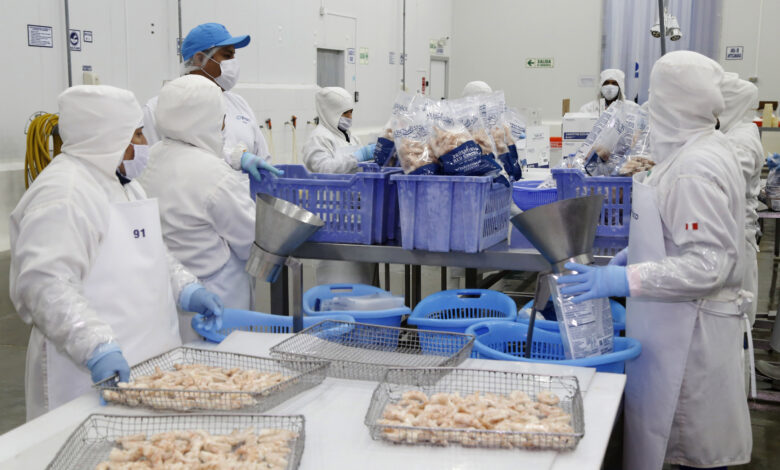 Sanipes emitió 27 mil certificados sanitarios de exportación agilizando el comercio hidrobiológico internacional los últimos 365 días