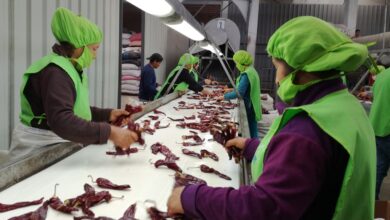 Número de empresas exportadoras aumentó 2.5% entre enero y agosto