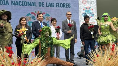 Adex identifica oportunidades de exportación para flores y capullos