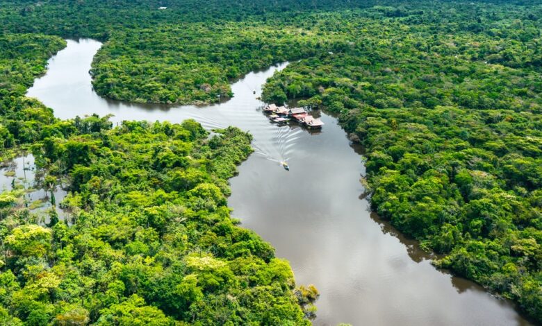 ESAN y Mancomunidad Regional Amazónica coorganizan panel sobre bionegocios en la COP28