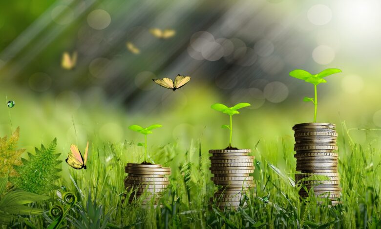 AL-INVEST Verde ya se ejecuta en 12 países de América Latina para promover el desarrollo sostenible de la región