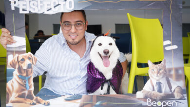 Tendencia 'Pet-Friendly': Open Internacional se suma a la evolución del bienestar en el trabajo