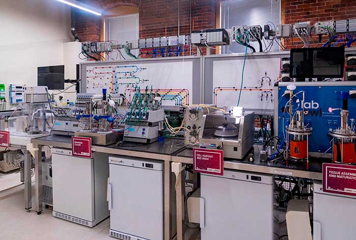 Biomanufactura, el futuro en la fabricación artificial de células, tejidos y órganos humanos a gran escala