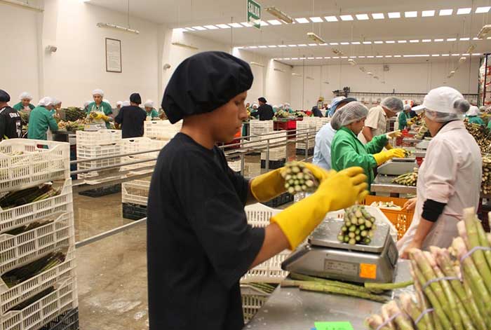 preocupa declive de las agroexportaciones