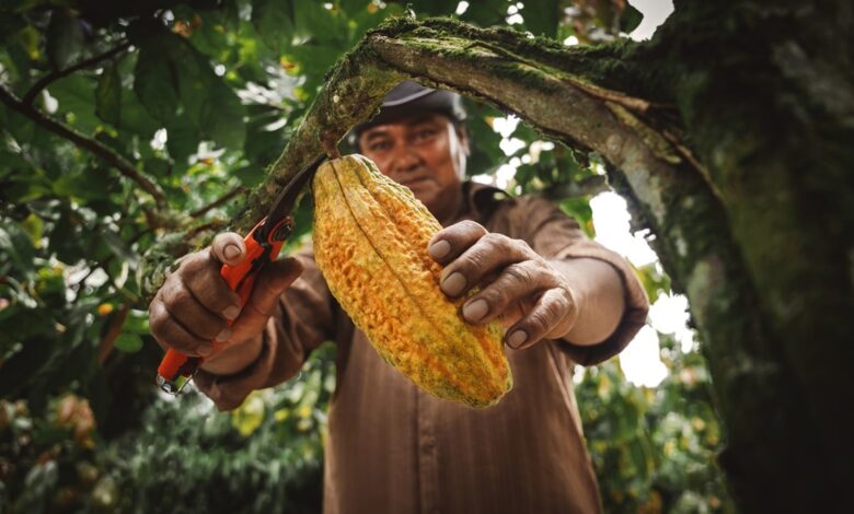 PROMPERÚ: Empresas de cinco regiones obtienen sello nacional de Biocomercio Perú