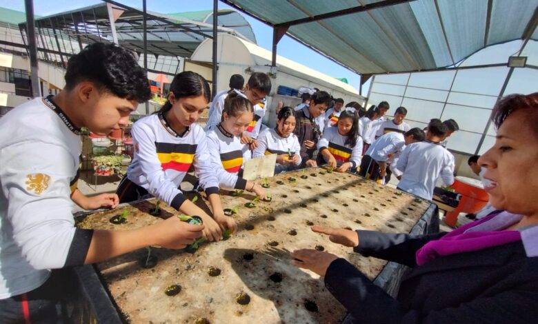 docentes de Arequipa lograron el primer puesto al crear una forma de cultivo saludable y económico de lechugas