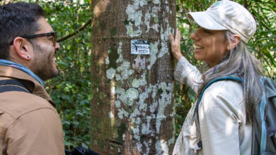 ARBIO, Bosque de Gigantes: un documental que muestra el gran trabajo que implica preservar el bosque amazónico