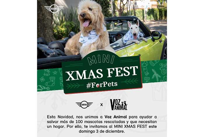 MINI Xmas Fest: MINI y ONG Voz Animal se unen este domingo 03 para contribuir con el cuidado de más de 100 mascotas rescatadas esta Navidad
