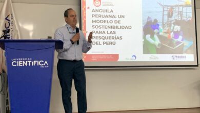 Certificación de Pesquerías: Perú va en la cola