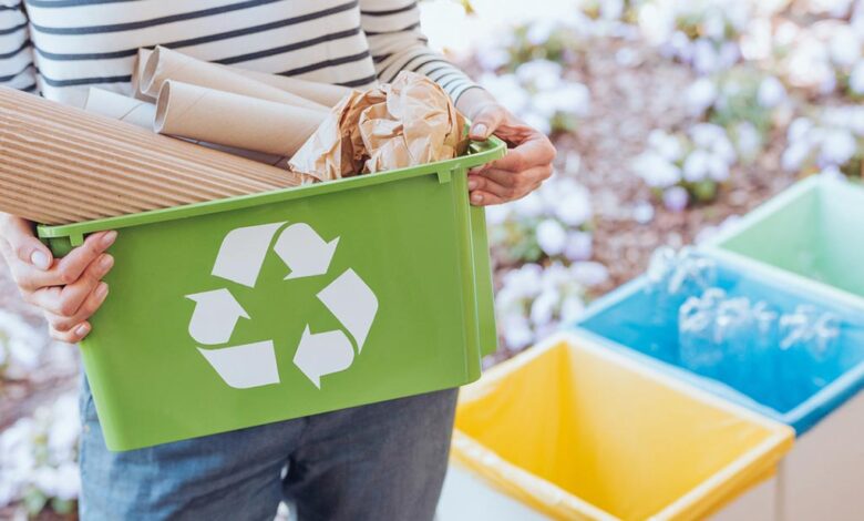Día Mundial de la Educación Ambiental: cinco hábitos sostenibles para fomentar el cuidado del medio ambiente desde casa