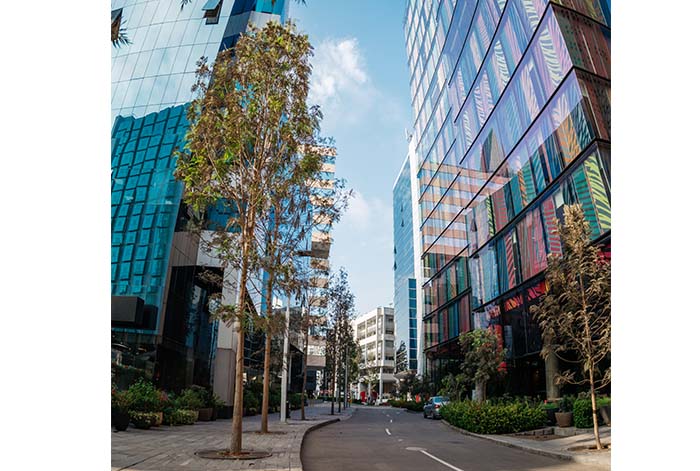 Oficinas sostenibles: Una apuesta que se fortalece