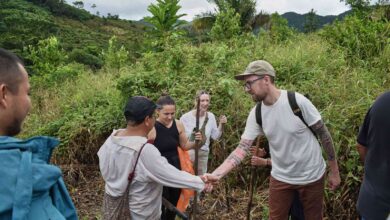 #EmpresasQueTransforman: Cuatro iniciativas peruanas que aportan oportunidades de desarrollo a la agricultura nacional