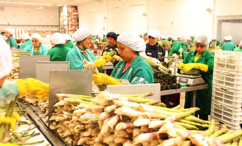 Oferta agroexportable peruana llegó a 135 mercados