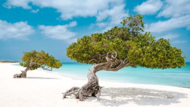 Aruba: 5 motivos para visitar la isla feliz en el 2024