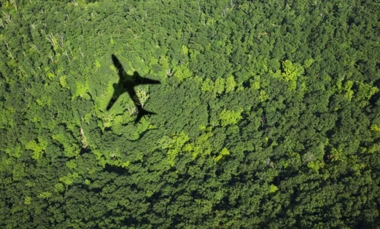 Siemens y LATAM compensan más de 4.000 toneladas de CO2 en proyectos de conservación en Sudamérica