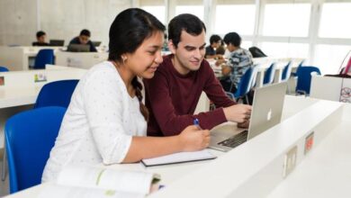 Seis consejos para gestionar tu carrera profesional