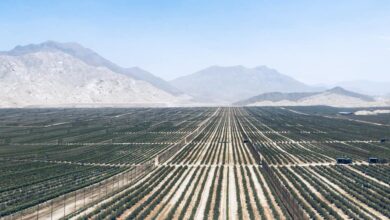 PRODUCE: Empresas peruanas desarrollan tecnologías para una gestión sostenible del agro y el reaprovechamiento del agua