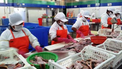 Número de empleos generados por exportaciones cayó -4.9% en el 2023