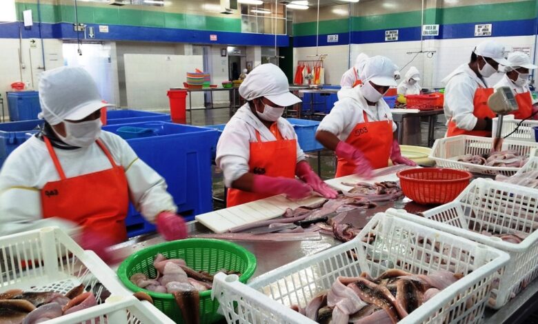 Número de empleos generados por exportaciones cayó -4.9% en el 2023