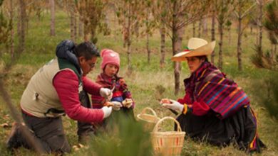 Viceministro Luna plantea reactivar “Programa Minero de Solidaridad con el Pueblo”