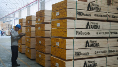 Maderera Andina y su compromiso con la comercialización de madera certificada