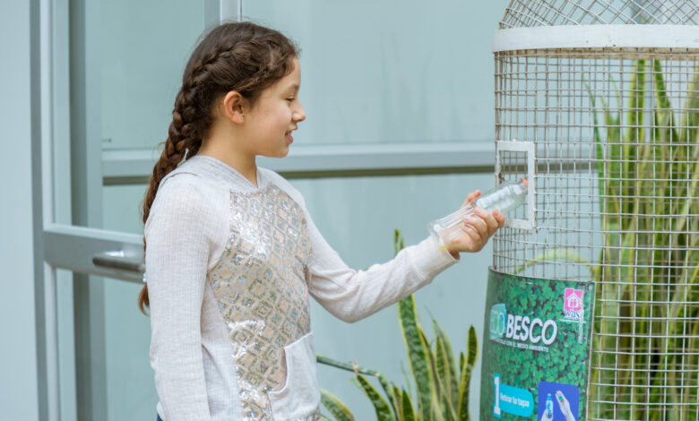 Día Mundial de la Educación Ambiental: Descubre cómo iniciar un estilo de vida más sostenible