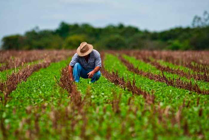 ProducePay levanta USD$38M para impulsar agroexportaciones y promover la estabilidad financiera de agricultores