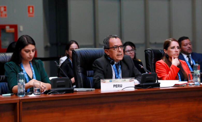 SCSC APEC busca reducir barreras comerciales para mejorar el acceso a más mercados