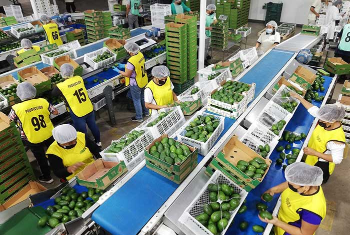 adex: número de productos de la canasta agroexportadora creció 3.9%