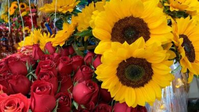 Florerías vendieron más de 1000% durante el día de San Valentín