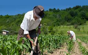 Agromin 2024: “Hay que fortalecer las sinergias entre agro y minería en favor del desarrollo territorial del país”