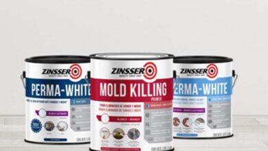 Humedad en paredes: ¿cómo eliminar los hongos de manera efectiva?