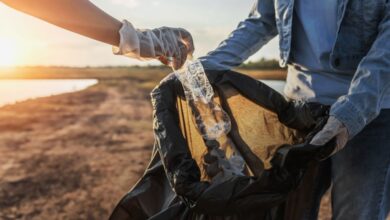 Seis hábitos para mantener nuestras playas libres de residuos