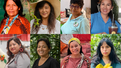 Ocho mujeres exitosas que impulsan la economía circular de Perú con apoyo de la Unión Europea