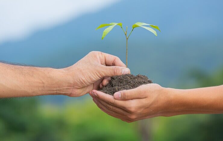 ¿Cómo un MBA puede contribuir a generar políticas efectivas de sostenibilidad ambiental?