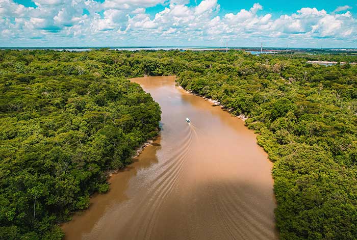 Día Mundial del Agua: Cinco razones para proteger y cuidar los ríos de la Amazonía