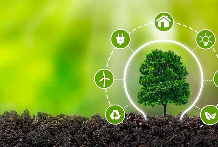 Beeok 2023 en retrospectiva: Sostenibilidad, reconocimientos y expectativas para este 2024
