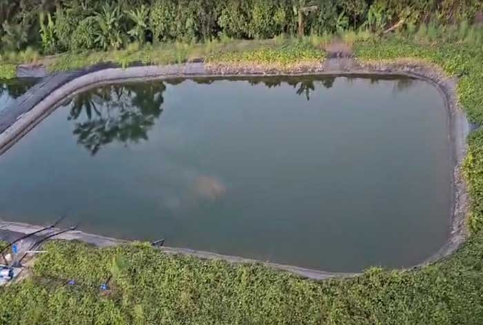 Día del Agua: Innovaciones para gestionar el cuidado y aprovechamiento del agua en el Perú