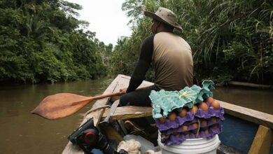 protectores de la tierra: tras diez años de expedición, desde la amazonía peruana hasta siberia, la artista y cineasta ambientalista anne de carbuccia presenta su más reciente documental en el perú