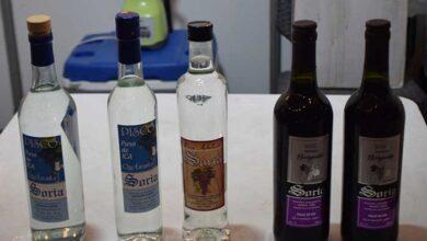 CAPATUR: “Fue una verdadera Vendimia donde se degustó exclusivamente productos a base uva”