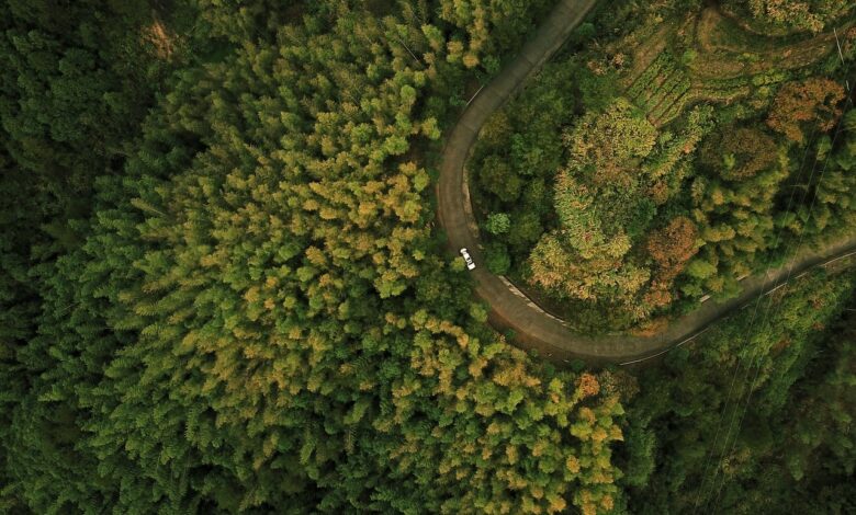 Día de la Tierra: ¿Por qué la electricidad 4.0 es una vía directa al Carbon Zero?