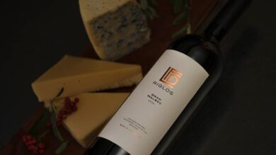 En el día mundial del Malbec, 10 tips para elegir un buen vino