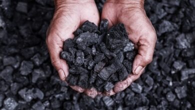 Construirán primera planta industrial de producción de biochar en el Perú
